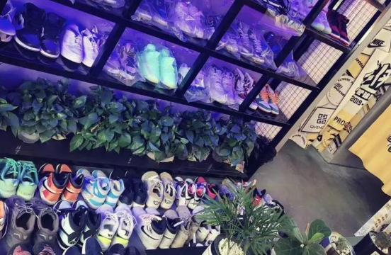 洗鞋店营销软件
